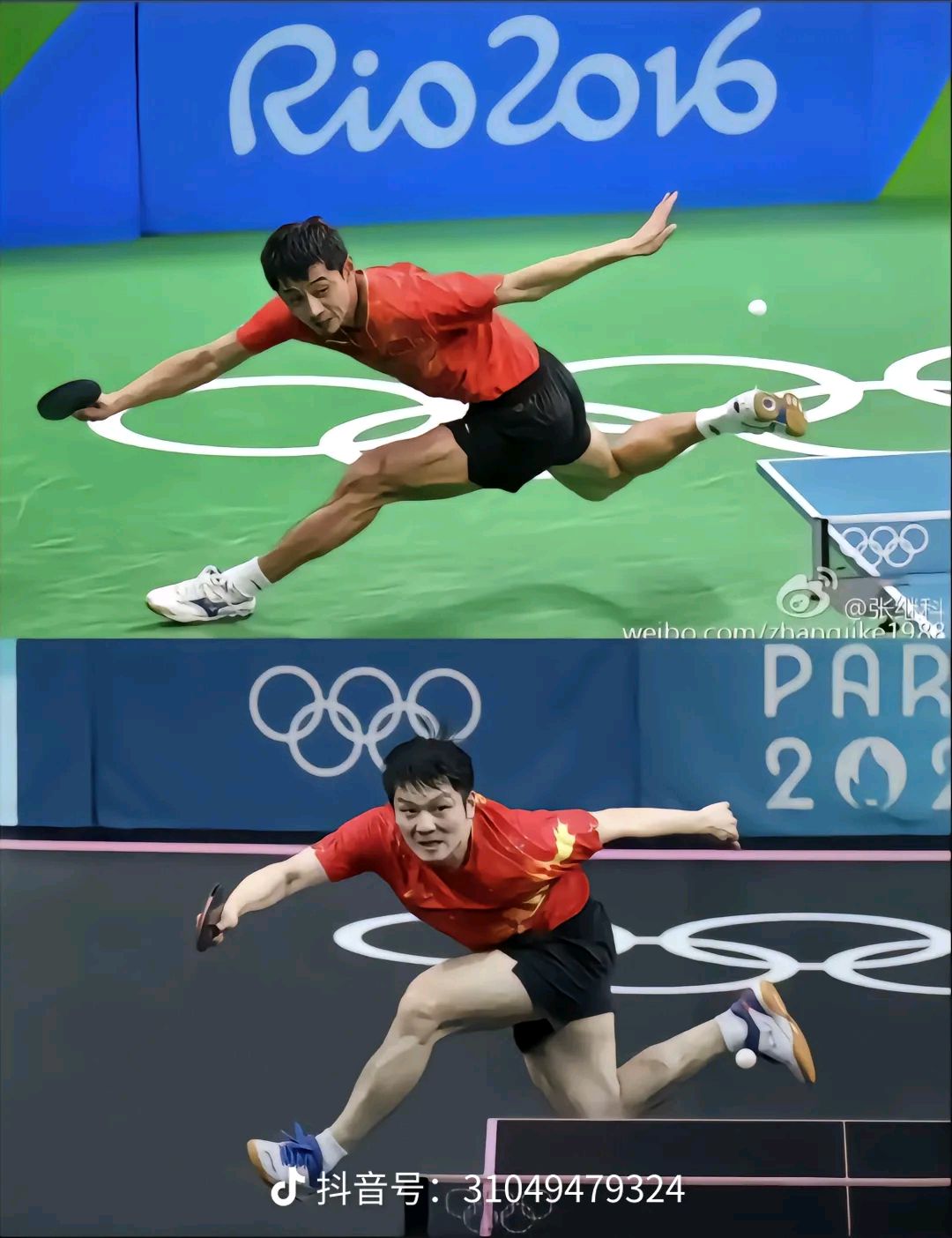 日本乒乓球队险胜波兰乒乓球队，张继科送出助攻的简单介绍