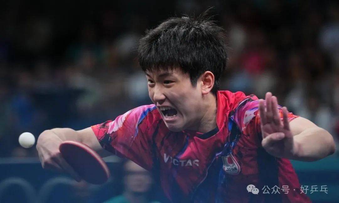 奥地利乒乓球队力克英国乒乓球队，张本智和送出助攻的简单介绍