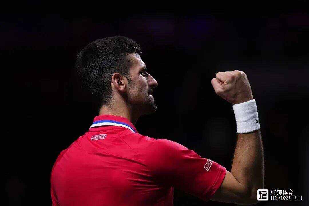 戴维斯杯绝杀年终总决赛，德约科维奇扛起全队