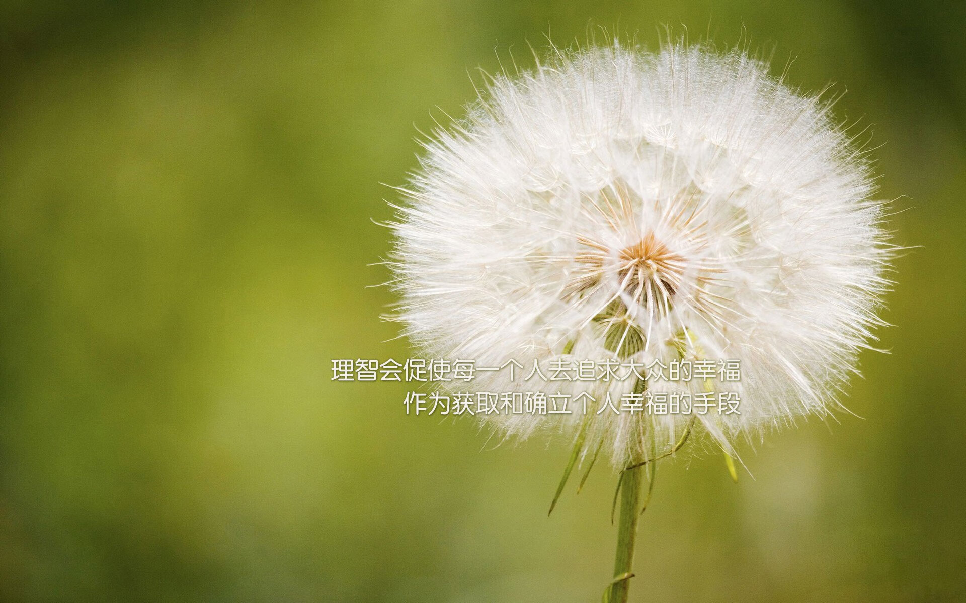 虚构|哥伦比亚3-2绝杀巴萨！38岁皮克倒钩惊艳四座，更衣室通道一幕令人动容