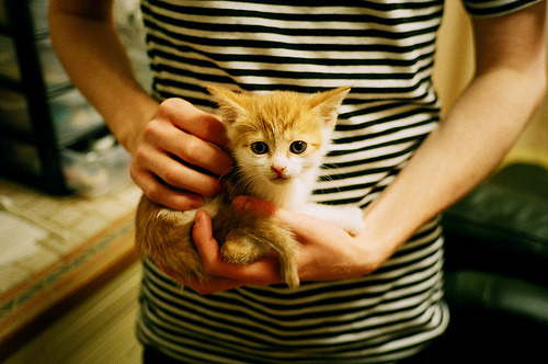 胜利之后，张继科听见了自己退役的倒计时