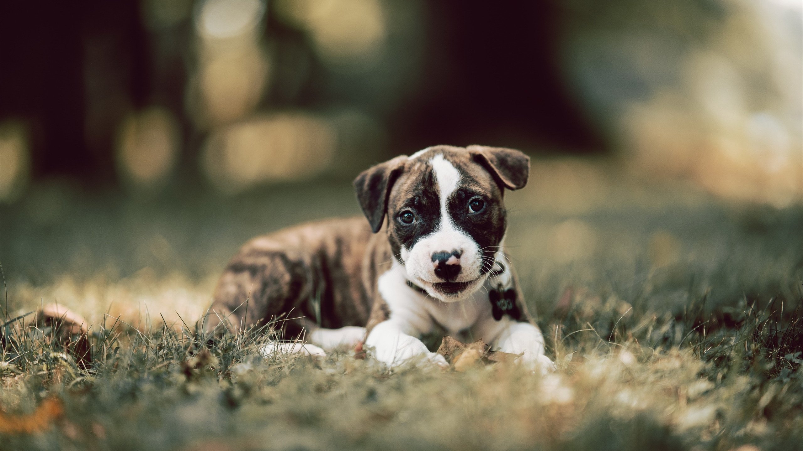 逆转与高光，一场穿越战壕的传承