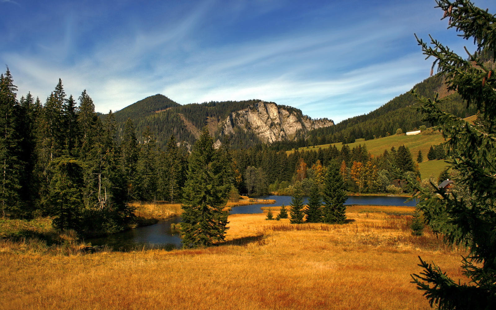 今夜只有凯塞多,一位小人物在首尔的压力熔炉中,如何锻造为国米的英雄图腾