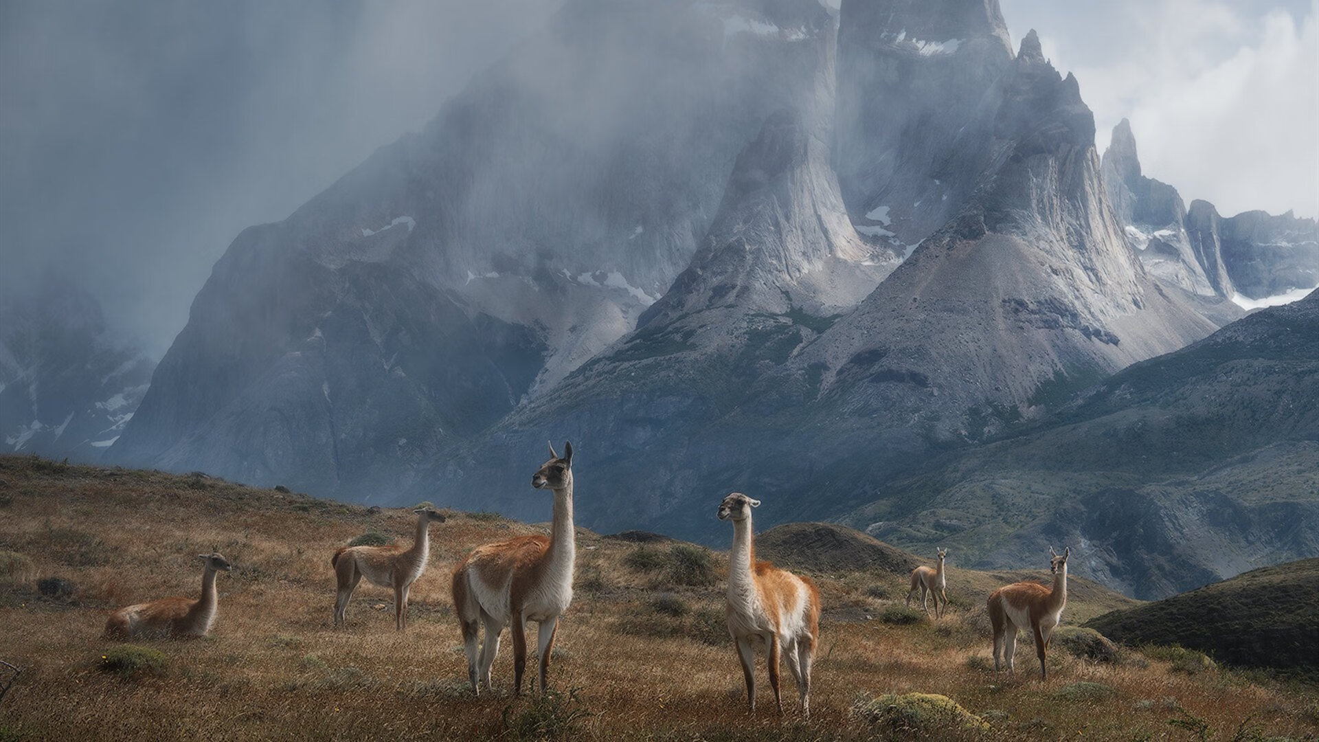 混凝土阵线与统治灯塔，当步行者用防守浇筑胜利，恩比德让悬念在第三节蒸发