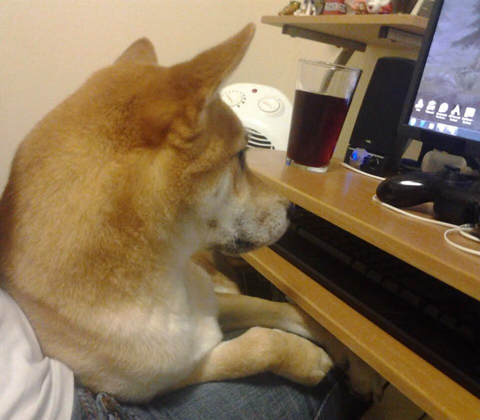 无声处听惊雷，当黄喜灿在嘘声与寂静中完成射门