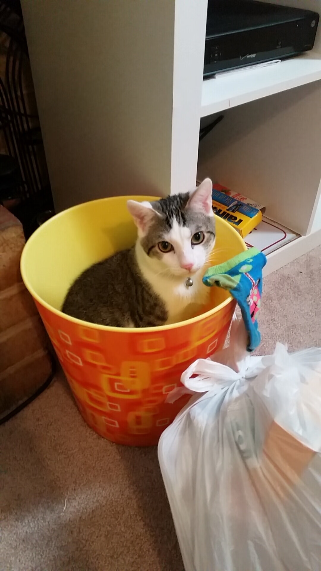 东决特质西部分享，雷霆用东部法则轻取鹈鹕