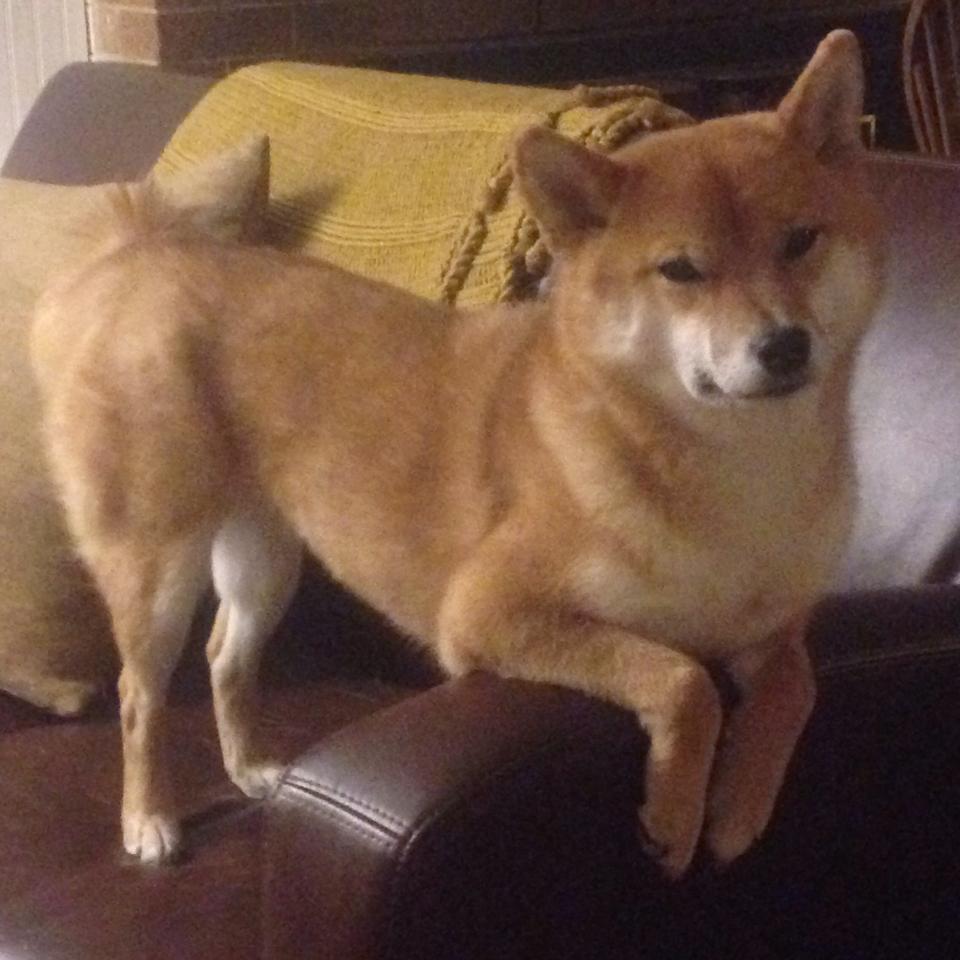 唯一战术与唯一英雄，东决夜的中国铁壁与阿什拉夫时刻