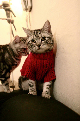 逆转之夜,本泽马金球级演出,西班牙风暴压制尤文铁壁