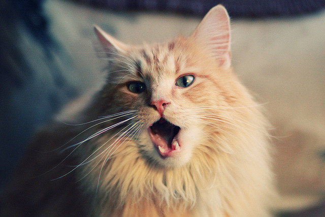 绝境勒布朗,西决生死夜那记擎起王座的传奇进球