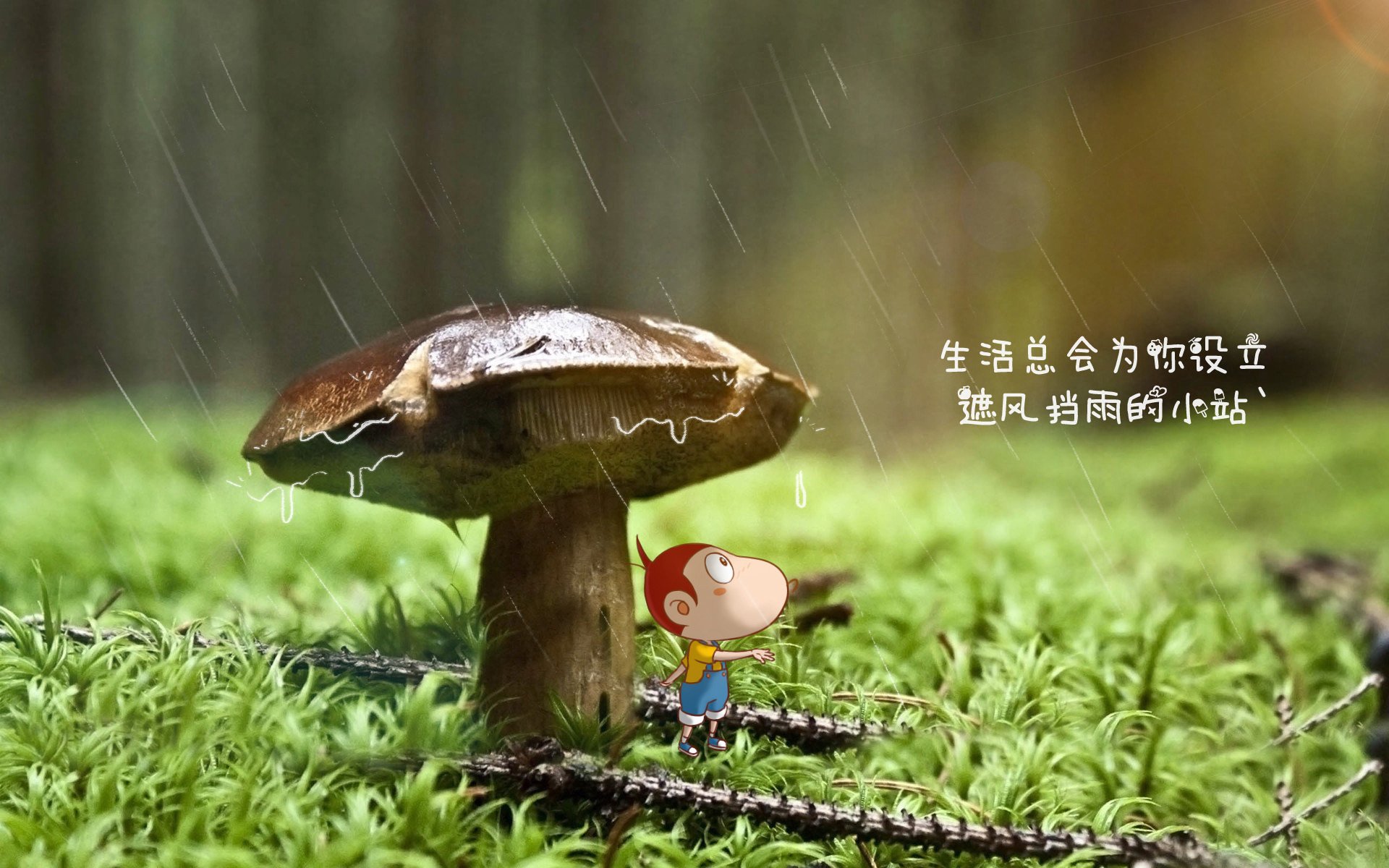 致命默契,2026世界杯B组,齐耶赫一剑封喉,厄瓜多尔力克伊朗的瞬间永恒