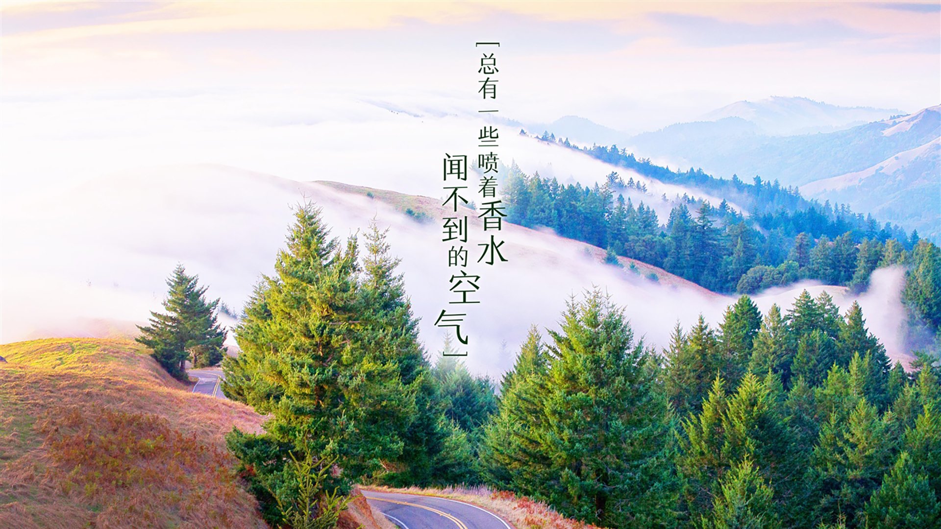 2026世界杯B组巅峰对决,波兰碾压厄瓜多尔,坎塞洛闪耀全场演绎默契风暴