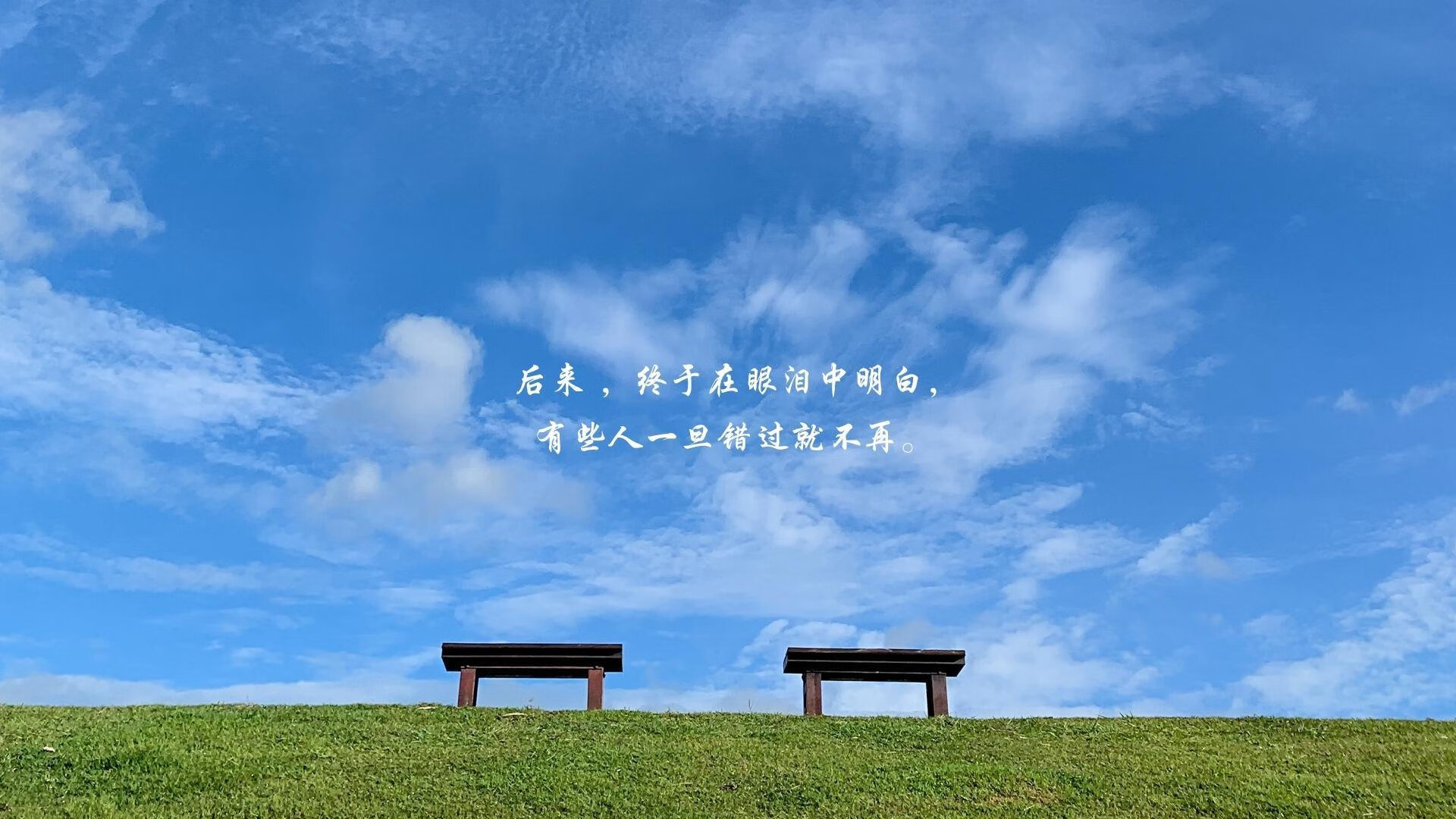 蓝潮逆袭,2026世界杯D组史诗一夜,罗马尼亚绝杀荷兰,努涅斯与黄金一代的无声交响