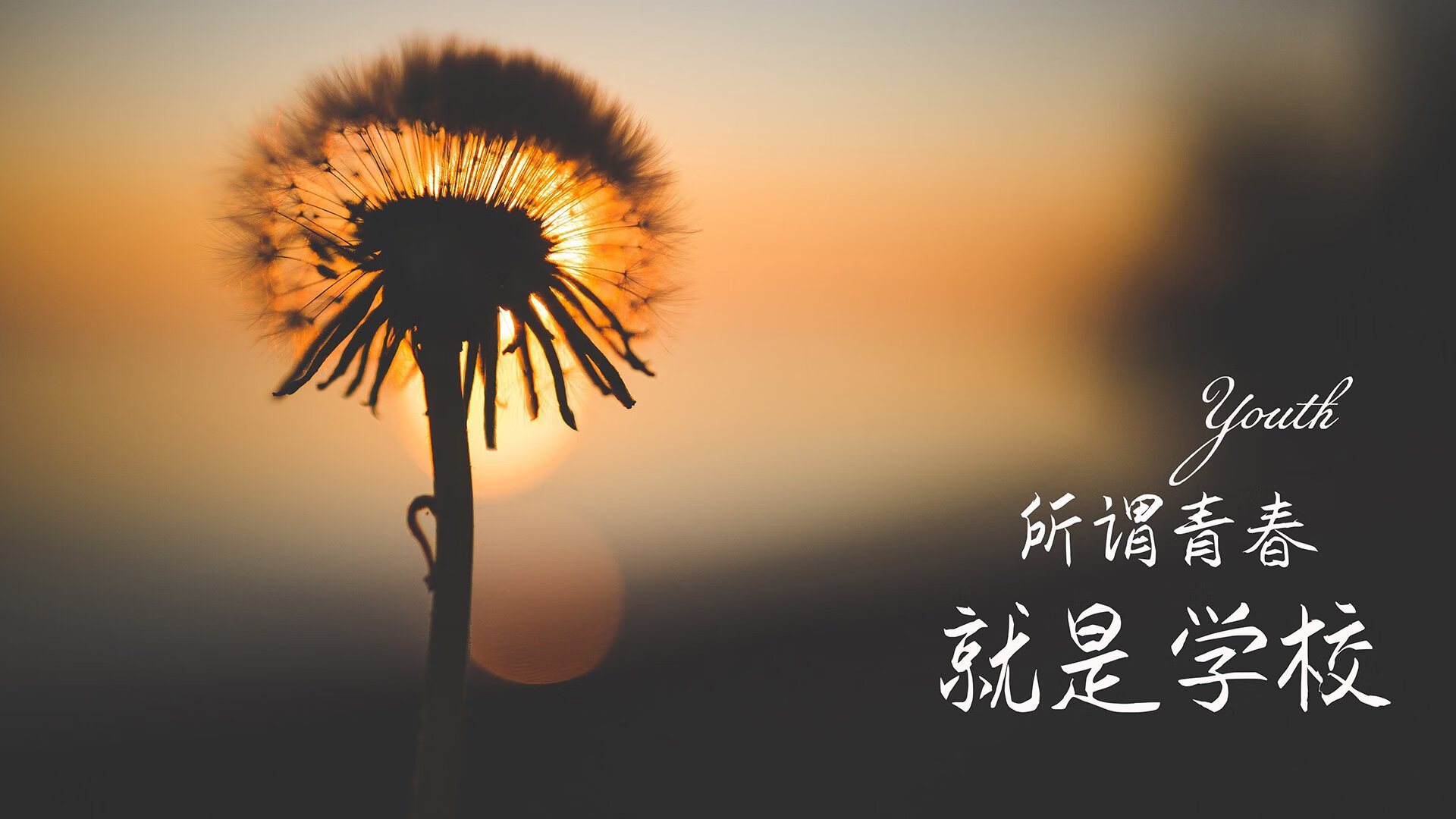 橙色风暴燃爆2026，荷兰绝杀葡萄牙，齐耶赫的极限救赎与不败神话